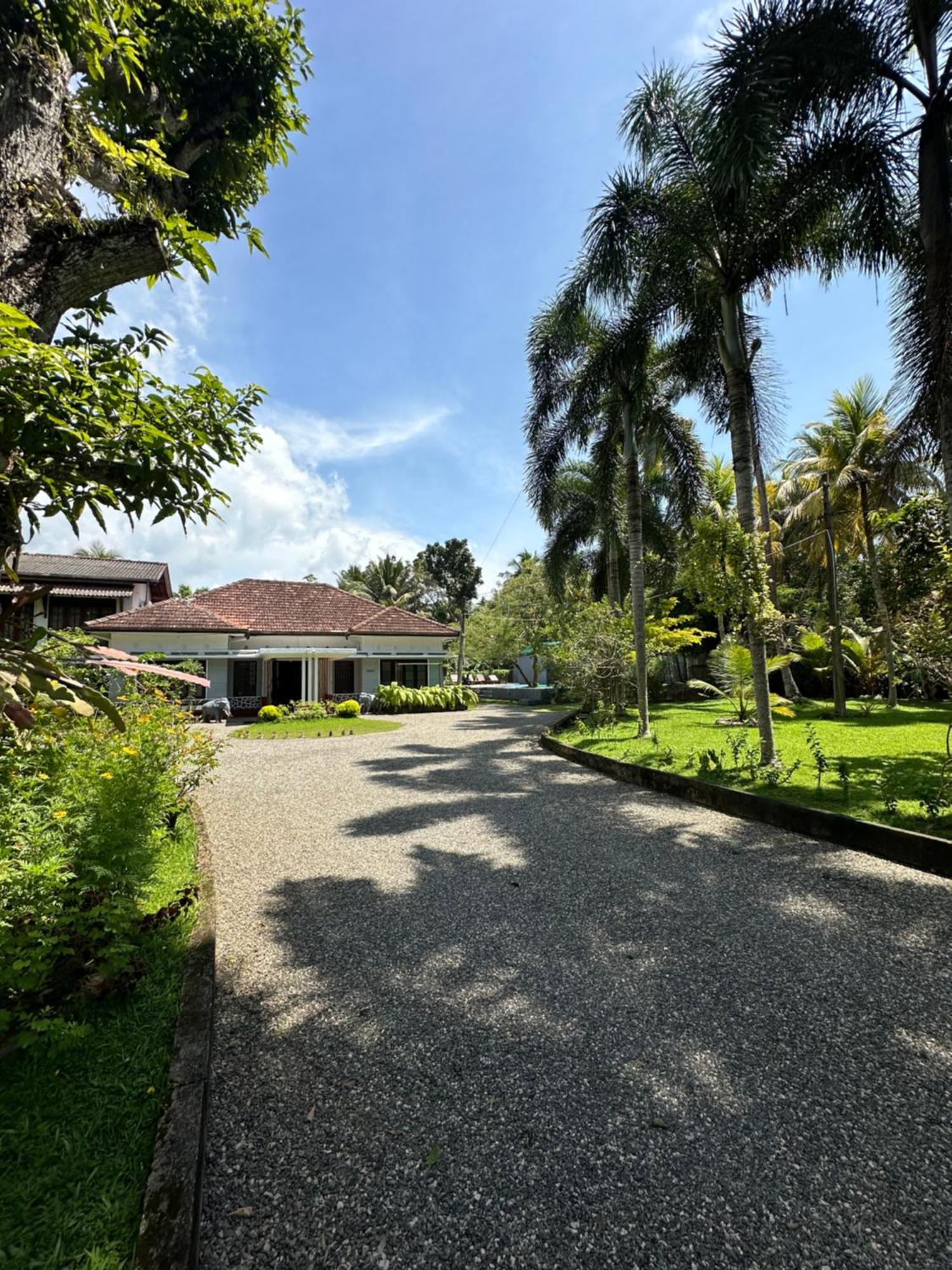אונה ואטונה Mango Tree Villa מראה חיצוני תמונה