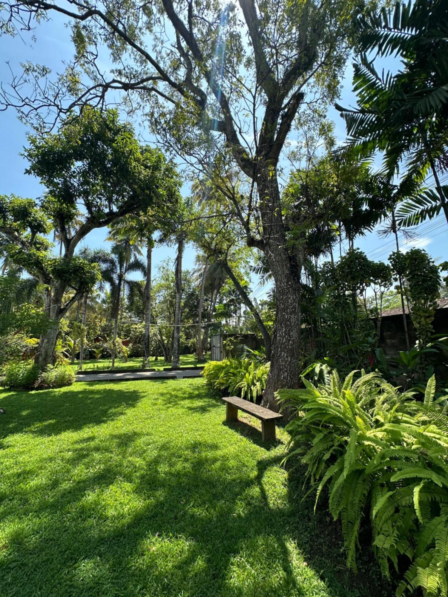 אונה ואטונה Mango Tree Villa מראה חיצוני תמונה